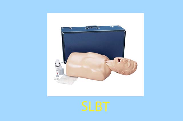 Medical Training kit with Human mannequins for medical education or training